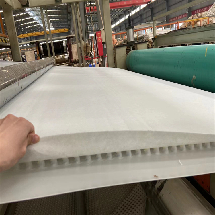 泰安虹吸排水板廠(chǎng)家_復合一體排水板虹吸排水系統